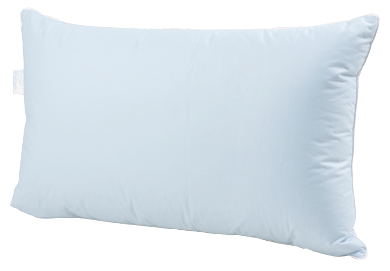 ordinary_pillow1